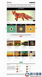 提升旅游网站用户体验 清晰设计与软件开发精品案例分析